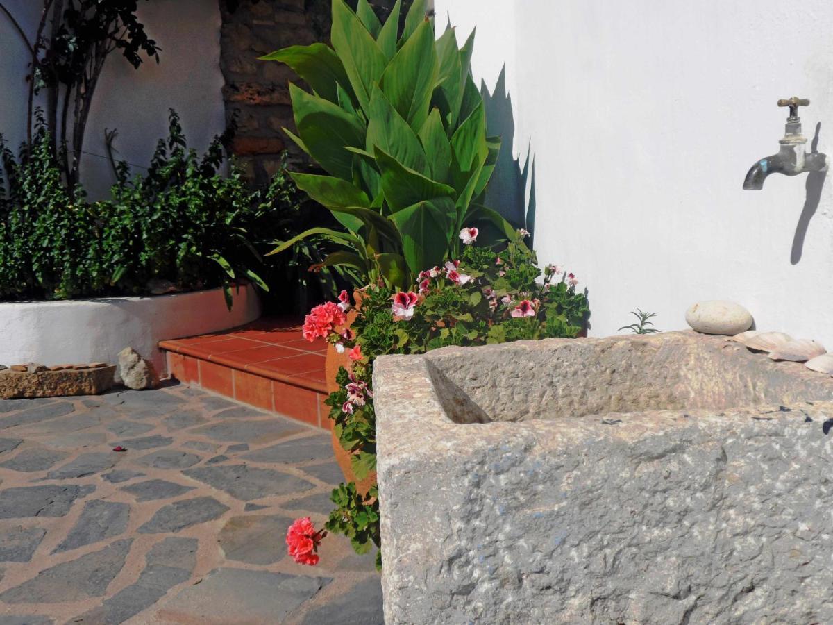 Charming House Ideal For Couples And Young Familie Tàrbena Exterior foto